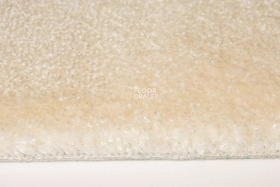 Vorwerk Superior 1064/Lyrica Vorwerk 6c68 фото 4 | FLOORDEALER